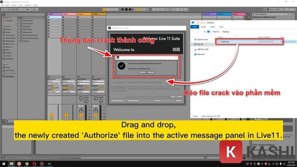 Download Ableton Live 12 Miễn Phí Mới Nhất - Hướng Dẫn Chi Tiết 2025