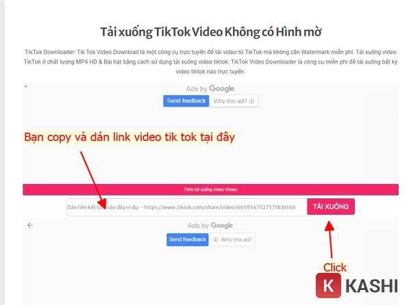 Giao diện website SnapTik.App
