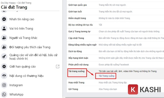 Alt text: Tải dữ liệu Fanpage Facebook xuống